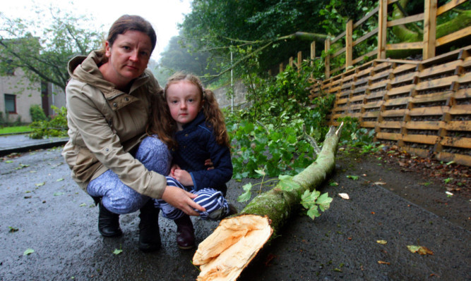 Lee Paterson and daughter Molly beside one of the large branches that crashed to the ground.