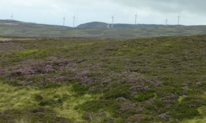 The proposed site for the Crossburns project, with the turbines of the Calliachar Windfarm in the background.