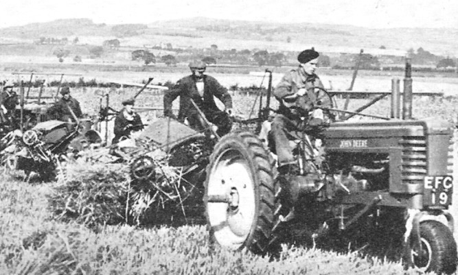 A styled John  Deere Model B with a Fife registration leads a line of binders during a post war harvest.