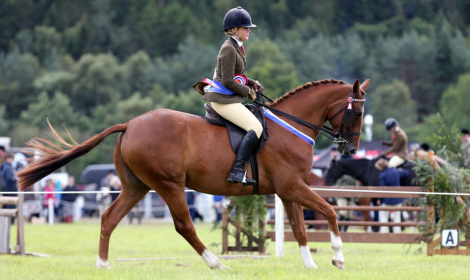 Sophie Brewster wins the Riding Horse Championship with Clifton's Promise