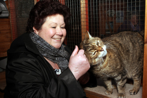 Linda French with Katie one of the cats at the shelter.