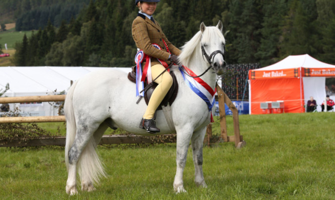 Millie Ferguson and Waitwith Welsh Magic won the overall M&M workers championship