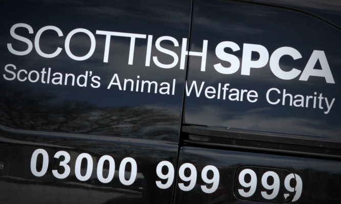 Scottish SPCA are appealing for information after the animal was found dead.