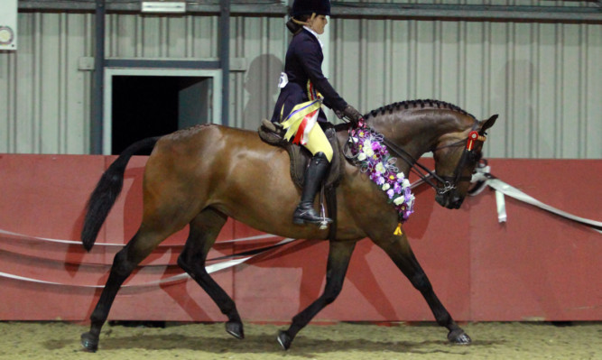 Kingsbarn Masters supreme champions Lucy Macangus and Bodette