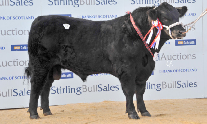 Stirling Bull Sales
pic: Aberdeen Angus reserve overall - Idvies Johnston Eric frm Messrs Fraser, Newton of Idvies, Forfar.