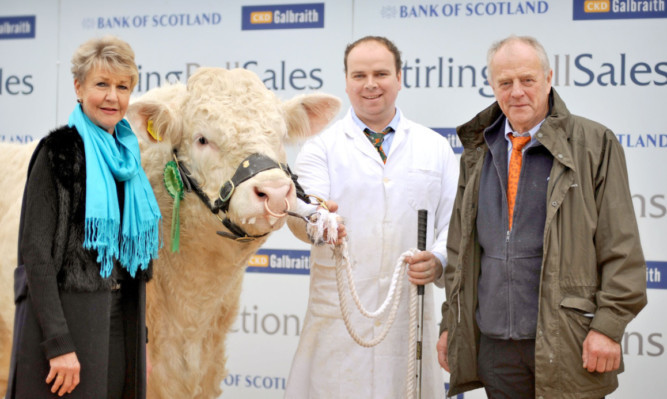 Stirling Bull Sales
Maerdy Ignition from Mr D E Evans sold for the week's top price -  22,000 gns.
pic: The bull is pictured with stockman Tudur Edwards and breeders Esmor Evans and Iorwen Jones.
