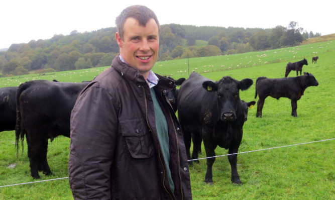 Alex Brewster, an early adopter of paddock grazing.