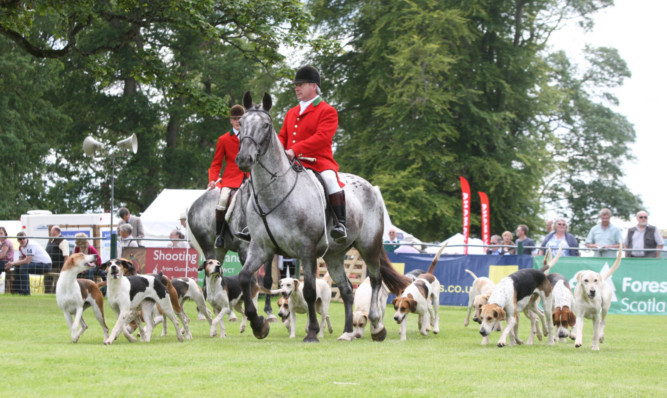 The Fife Foxhounds at the 2011 Scottish Game Fair.