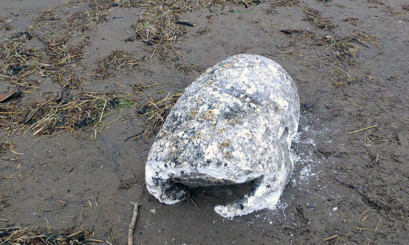 One of the blocks of lard that washed up on the beach.