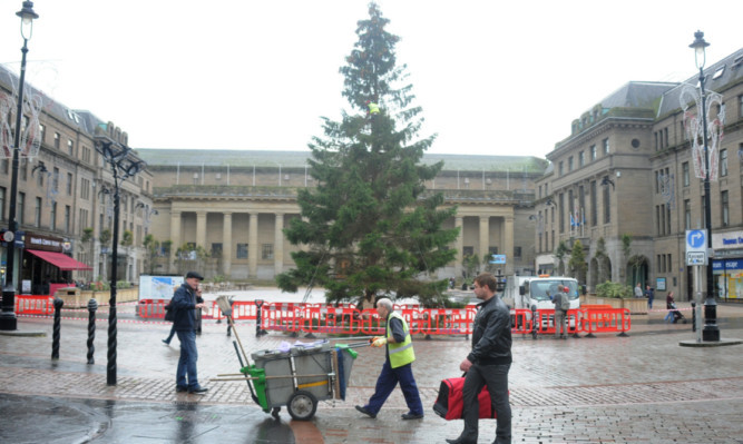 Workmen attempted to fill some of the sparse sections of the city's tree.