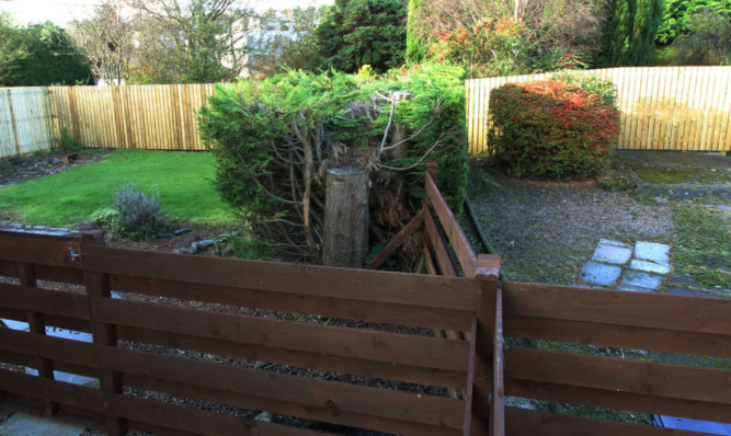 The newly installed fencing at the back of the houses on Strathmore Street.