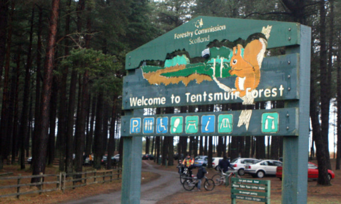 Complaints over behaviour of visitors to Tentsmuir Nature Reserve.