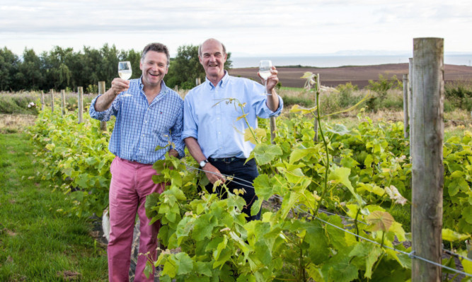Fife winemaker Christopher Trotter, left, and business partner Jayk Kerr.