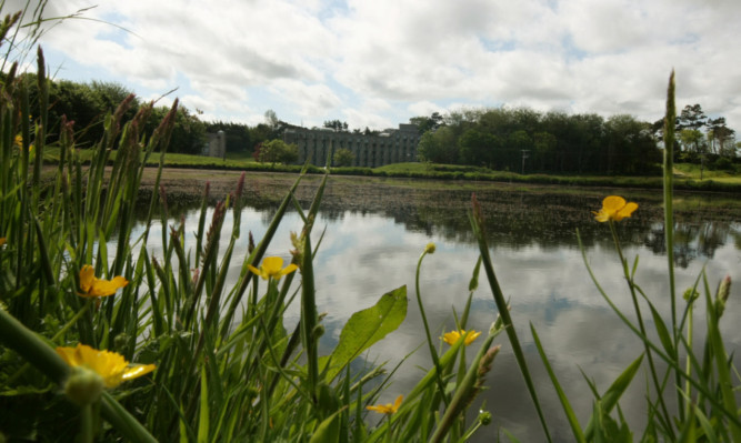 Fife Council says it will not consider the pond at the North Haugh as a possible location.