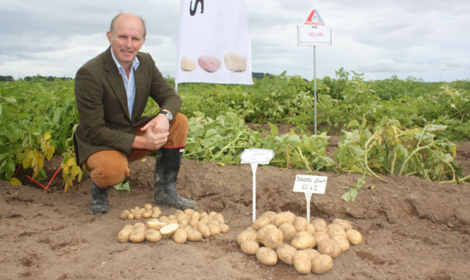 Agrico executive director Archie Gibson.