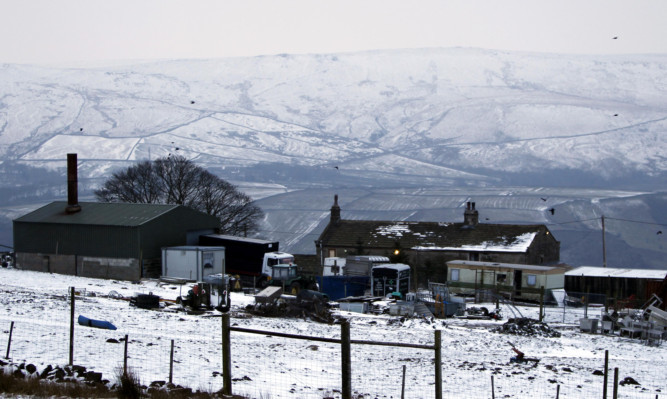 The Peter Boddy slaughterhouse in West Yorkshire, which was one of two British processing plants shut down as part of the inquiry.