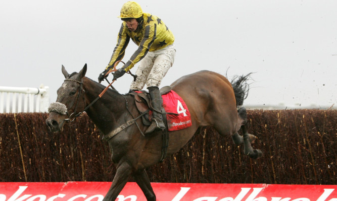 during the ?????? at Newbury Racecourse on March 29, 2008 in Newbury, England.