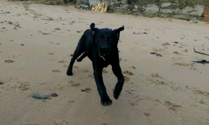 Fun on Easthaven beach