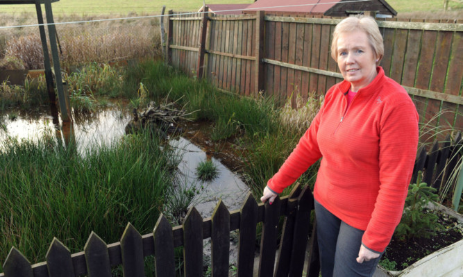 One of the residents affected, Moira Bennett, in her flooded back garden.