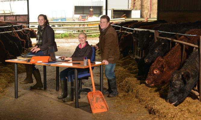 Last years participants in the McDonalds Progressive Young Farmer Training Programme have been hailed as fantastic ambassadors, and the firm hopes they will have a a halo effect over their peer group.