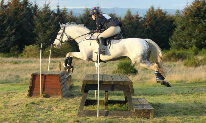 In full flight: Amy Crozier and Roxy romped home as open winners