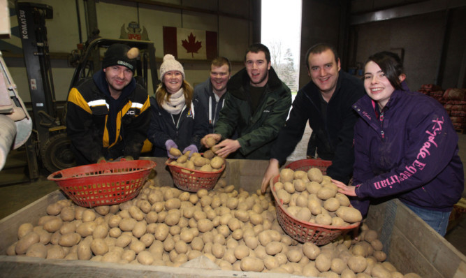 Packing potatoes at Pitmurthly Farm, near Redgorton (l to r) Stewart Thomson,  Sarah Sands,  Derek Corbett,  Ewan Lambie,  Scott Lambie and  Sarah Rattray