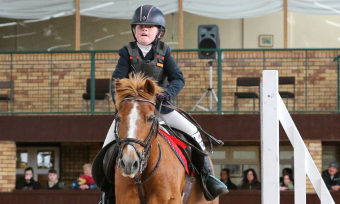 Lucy Watson and Ginger dominated the lower height classes.