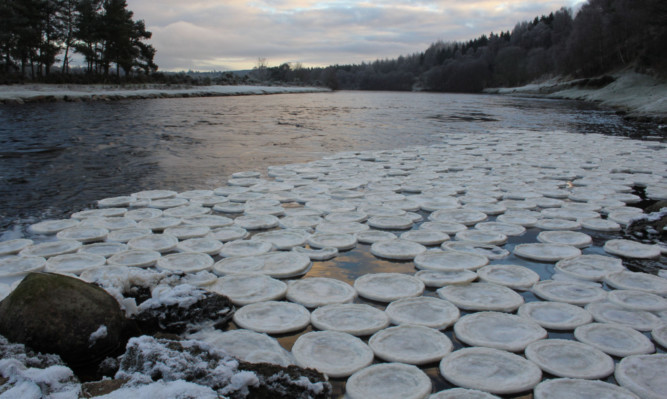 Ice pancakes on the River Dee