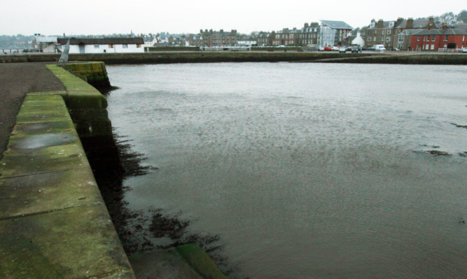 The cat was found struggling for breath in Broughty Ferry harbour.