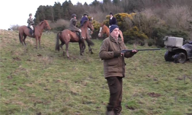 Footage from the fox hunt.