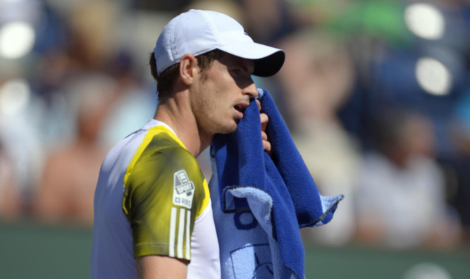 Andy Murray recovered from a slow start.
