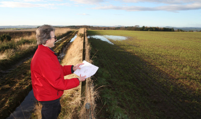 Virginia Fraser at the proposed turbine site in the Montrose area. Two turbines would have been in the field to her right and one would be to her left as she stands.