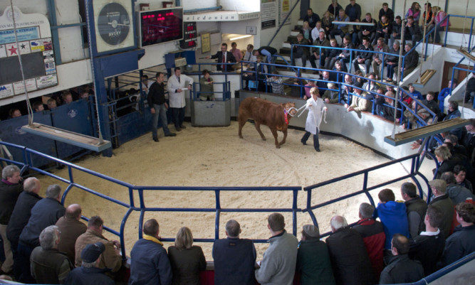 A special general meeting is likely to prove critical to the survival of Stirling-based Caledonian Marts as a farmer-owned cooperative, but board chairman James Cullens said there is strong underlying support for the market.