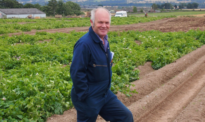 Top potato breeder Finlay Dale talks to Courier Farming about his career move and challenges in the field.