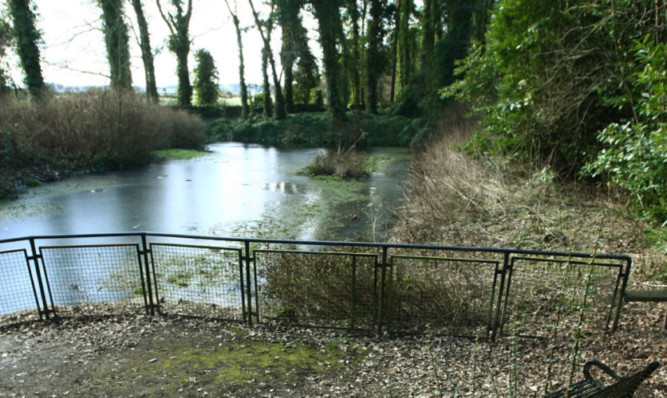 The pond area in Silverburn Park.