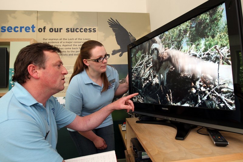 Steve MacDougall, Courier, Loch of the Lowes, Dunkeld. Osprey close to death at the wildlife centre. Pictured, the news of the poor health of the Osprey has attracted concerned visitors to the centre. Pictured, centre manager Peter Ferns and volunteer ranger Anna Cheshier beside the live images from the nest.