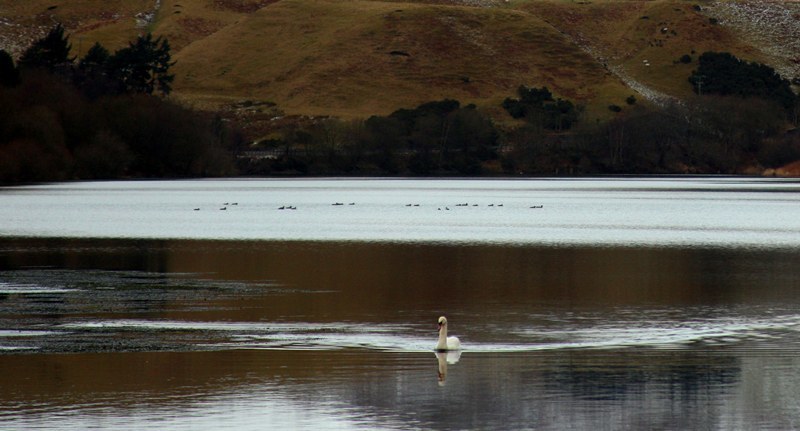 Castlehill Reservoir, Glendevon. Scenic extra picture.