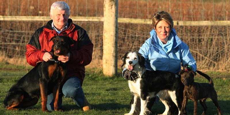 DOUGIE NICOLSON, COURIER, 06/01/11, NEWS.
DATE - Thursday 6th January 2011.
LOCATION - Kinaldie Kennels, near Arbroath.
EVENT - Abandoned pups.
INFO - Ian Robb - V. Chairman Help For Abandoned Animals, and Heather Forte - Asst Welfare Officer with pups L/R, Zeta, Bonny and Bella.
STORY BY - Graham Bletcher.