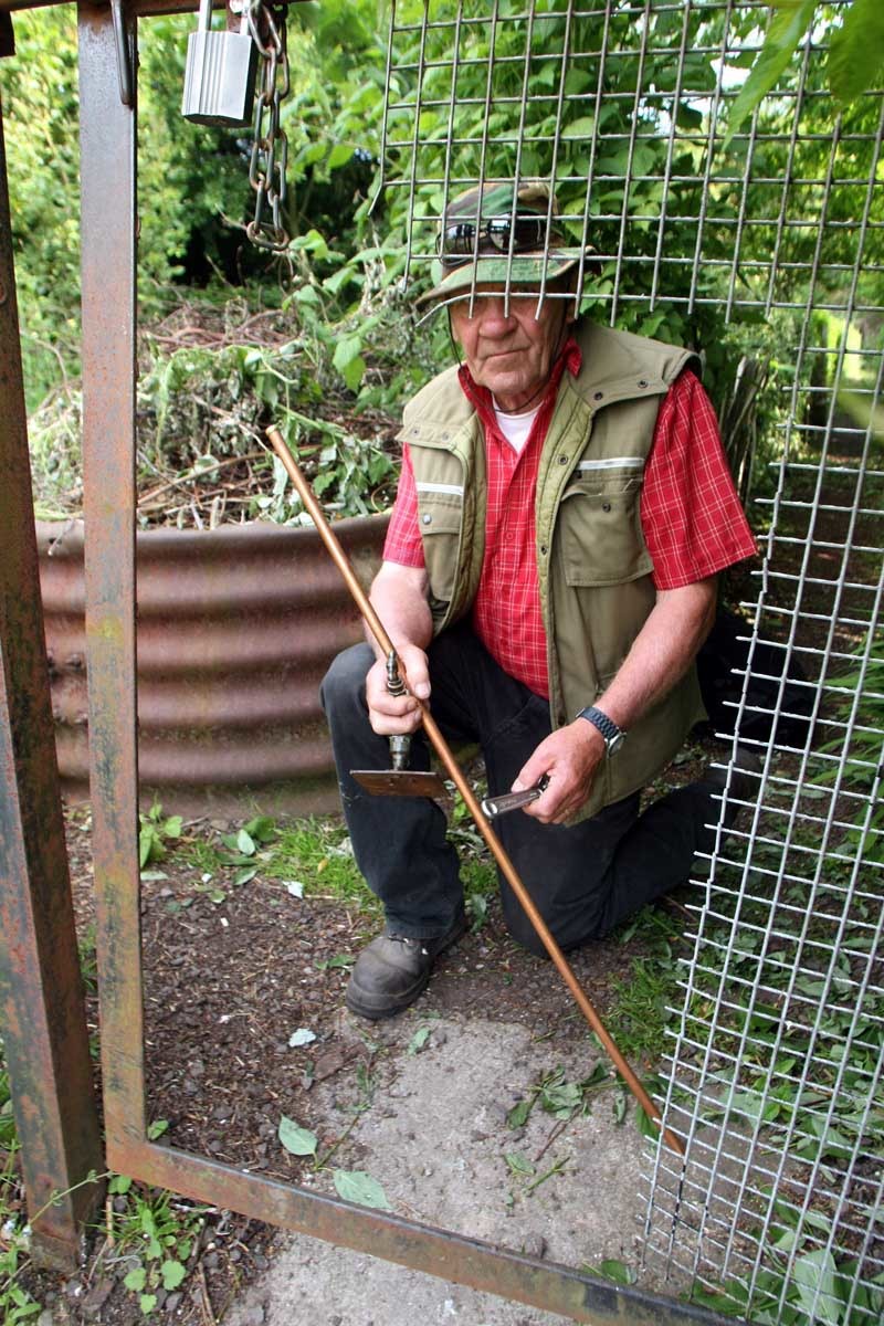 Vandalism in Dundee.  West Law Allotments, Dundee, hit by vandals.   Don Elder at the gate they cut to get in