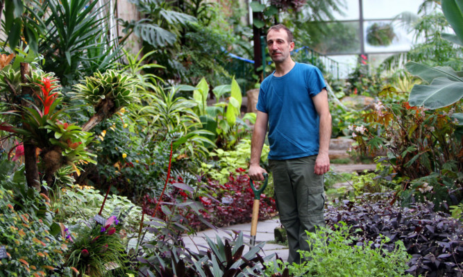 Supervisor Michael Wallace inside the glasshouse.