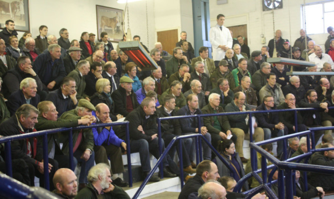 The members of Caledonian Marts listening to the proposition being put to them