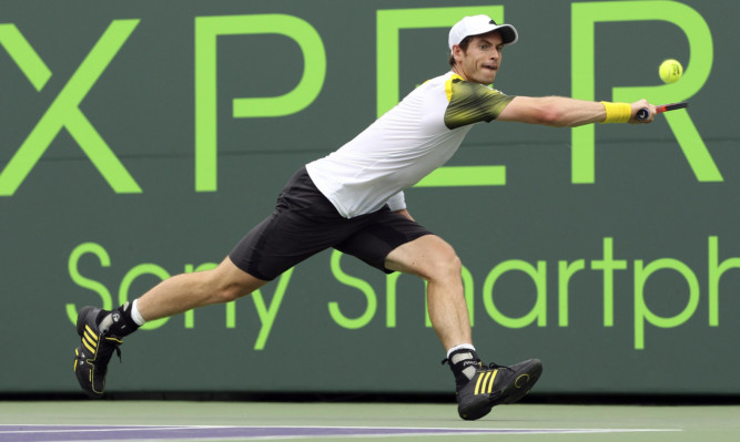 Andy Murray at full stretch against Grigor Dimitrov.