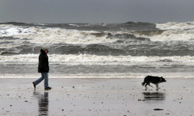 The Marine Conservation Society warns beaches could be closed if water standards are not met.