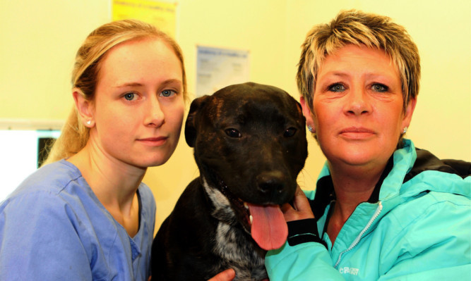 From left: vet Emily Turner and Heather Robb with 7-month-old pup Tye.