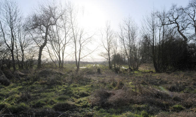 Land to the east of South Avenue in Blairhall which has been earmaked for housing.