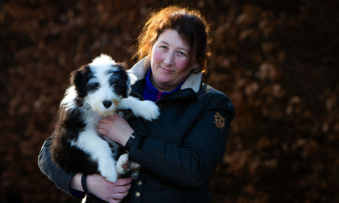 Julie Eley with puppy Trinny.