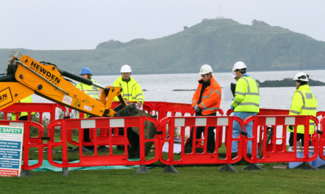 Workers have been testing soil around the bay for radiation.