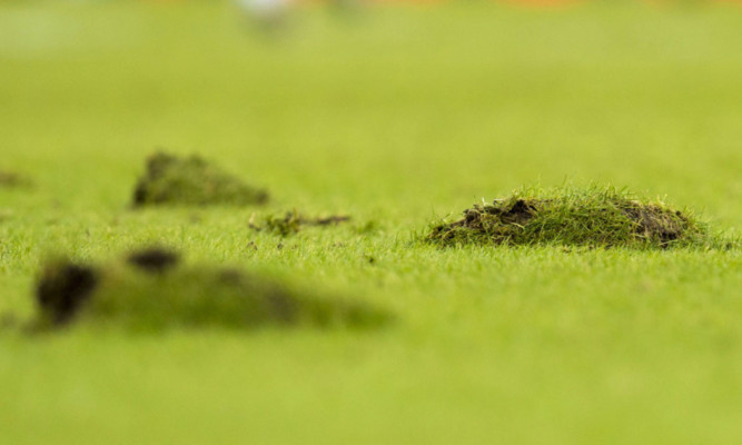 The pitch cut up badly during both weekend's semi-finals.