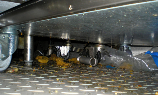 An example of the horrors sometimes uncovered by the country's food hygiene inspectors. (library photo)