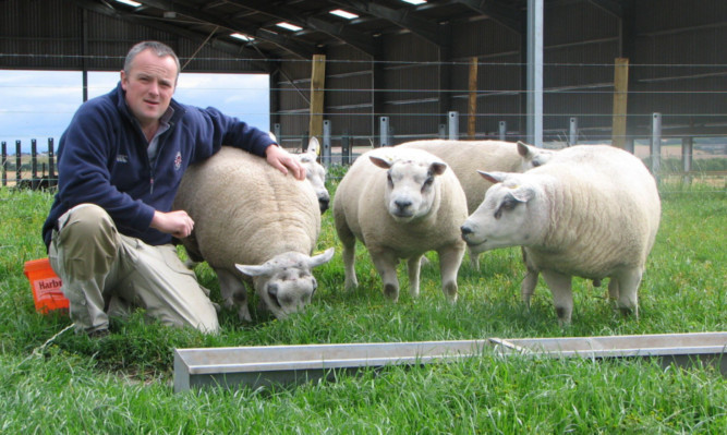 John Scott of Easter Ross is urging a focus on lifting profitability by improving the factors farmers can control, such as raising scanning percentages and reducing lamb losses or winter feed bills.